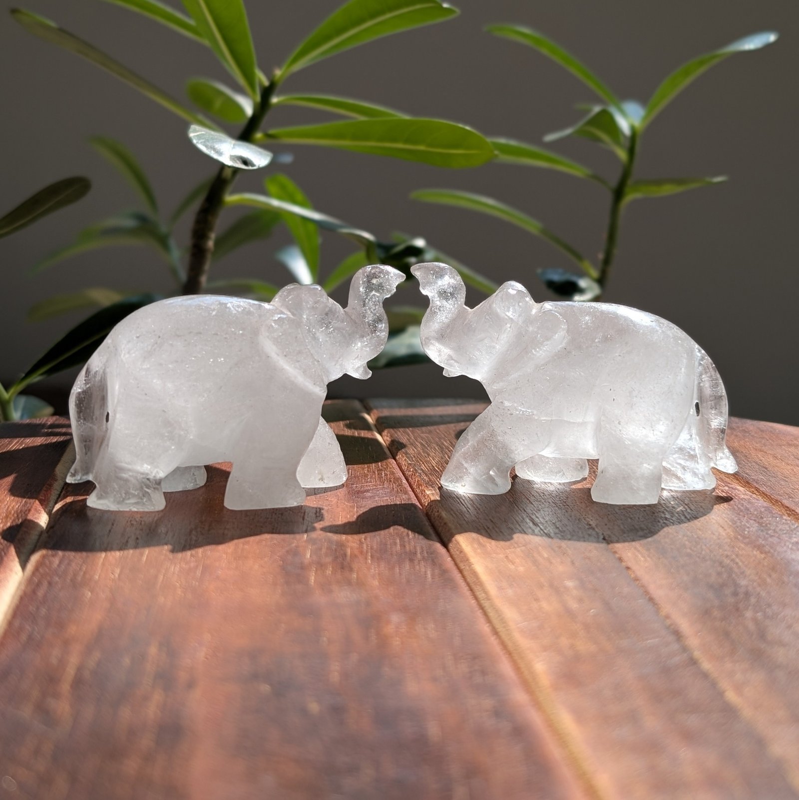 Crystal Elephant 1 – Original White Sphatik Elephant for Home Décor & Gift - Image 2